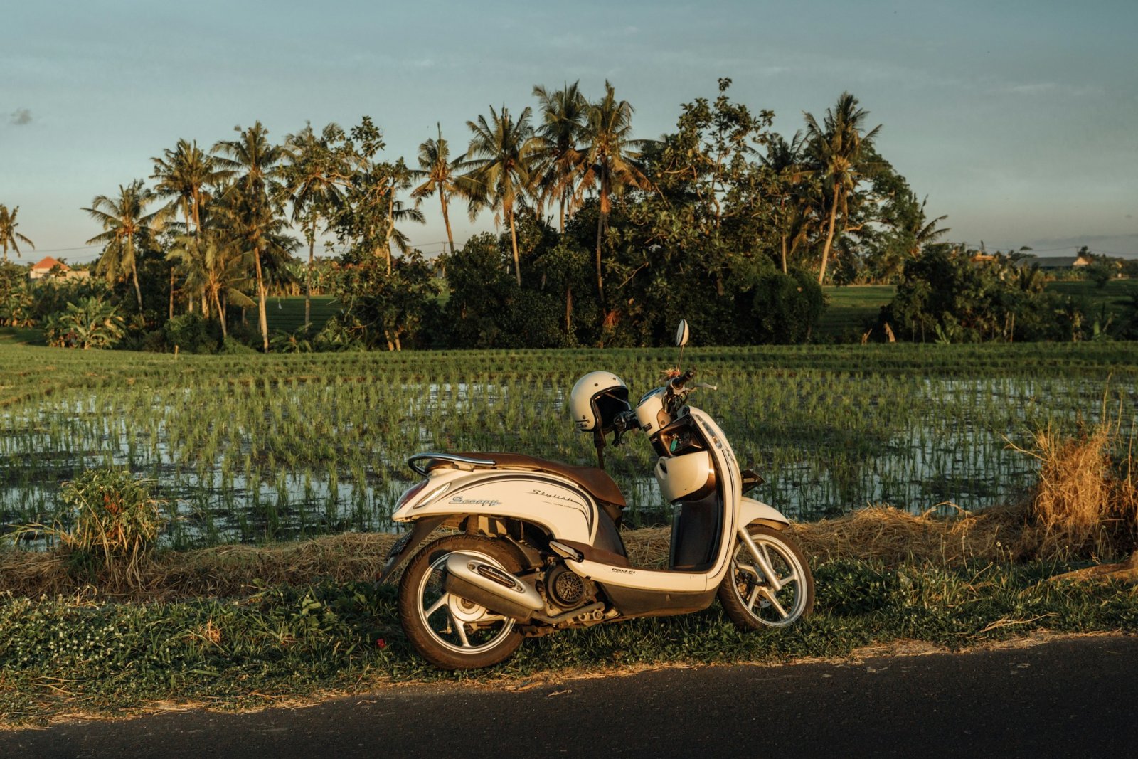 MOTORBIKE RENTAL